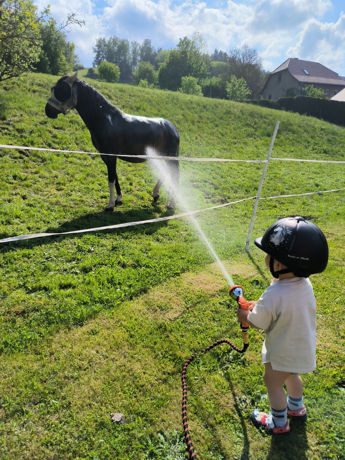 Beschreibung des Bildes